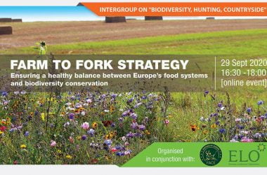 Farm to Fork Strategy: Ensuring a healthy balance between Europe’s food systems and biodiversity conservation